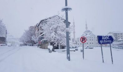 Adıyaman’da kar yağışı