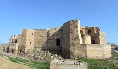 Harran Sarayı’nda tarih canlanıyor