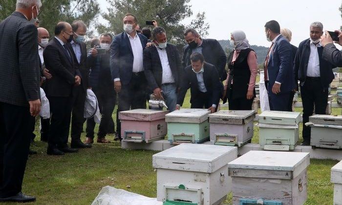 İzmir’de Roman kadınlara arı kovanı desteği