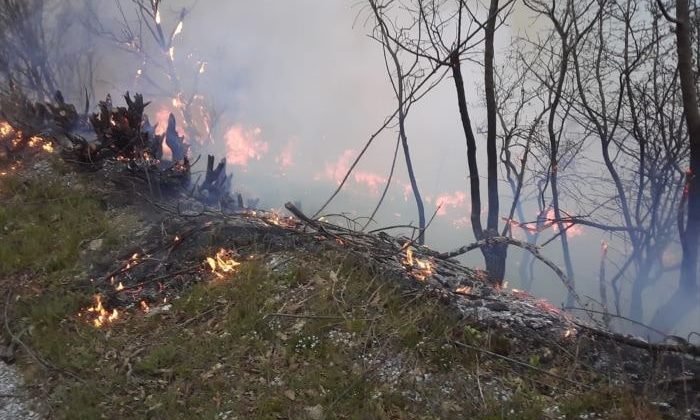 İzmir’de dağlık alanda yangın çıktı