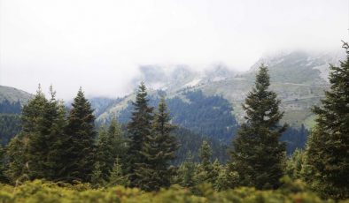 Ilgaz Dağı’nda oluşan sis görsel şölen sundu