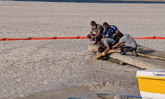 Marmara Denizi’nde 4 günde 1197 metreküp müsilaj temizlendi