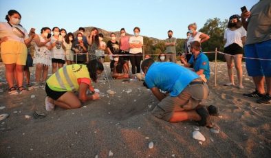 Antalya’da caretta caretta yavruları denizle buluşmaya başladı