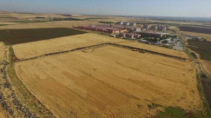 Şanlıurfa’da hükümlüler tarımsal üretim yapıyor