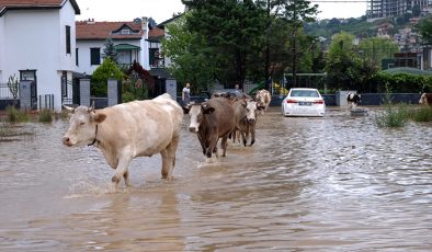 Şile’de su baskını