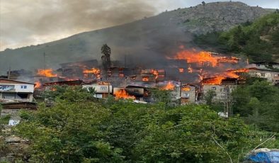 Artvin’in Yusufeli ilçesinde yangın