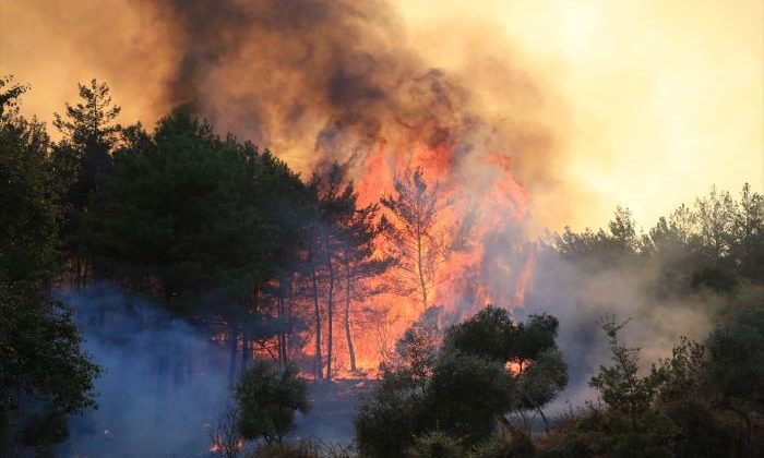 Muğla’da yangın nedeniyle dört yerleşim yeri boşaltıldı