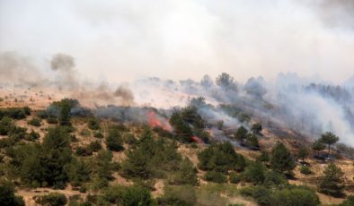 Uşak’taki orman yangını kontrol altına alındı