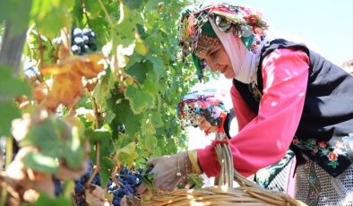 Kırklareli’nde “Kızılcıkdere 1. Bağ Bozumu” etkinliği yapıldı