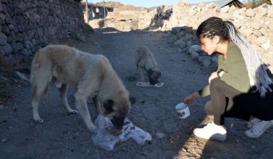 Baraj nedeniyle boşaltılan köyde köpekler sahipsiz kaldı