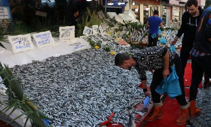 Hamsi bolluğu tezgahlarda fiyatlara yansıdı