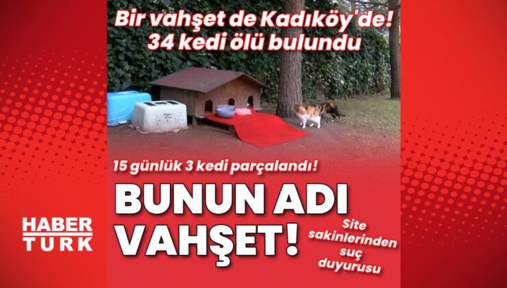 Bunun adı vahşilik!