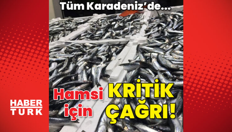 Hamsi için kritik çağrı!